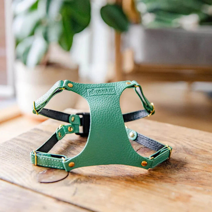 The Supakit Cat Harness Style — Mint Green / Leather - Small