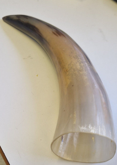 2 Tone Viking Drinking Horn