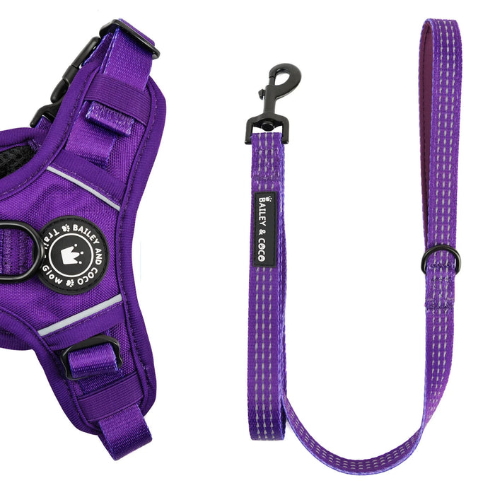 Bailey and Coco Trail & Glow Royal Purple Harness, Lead and Collar Size Small