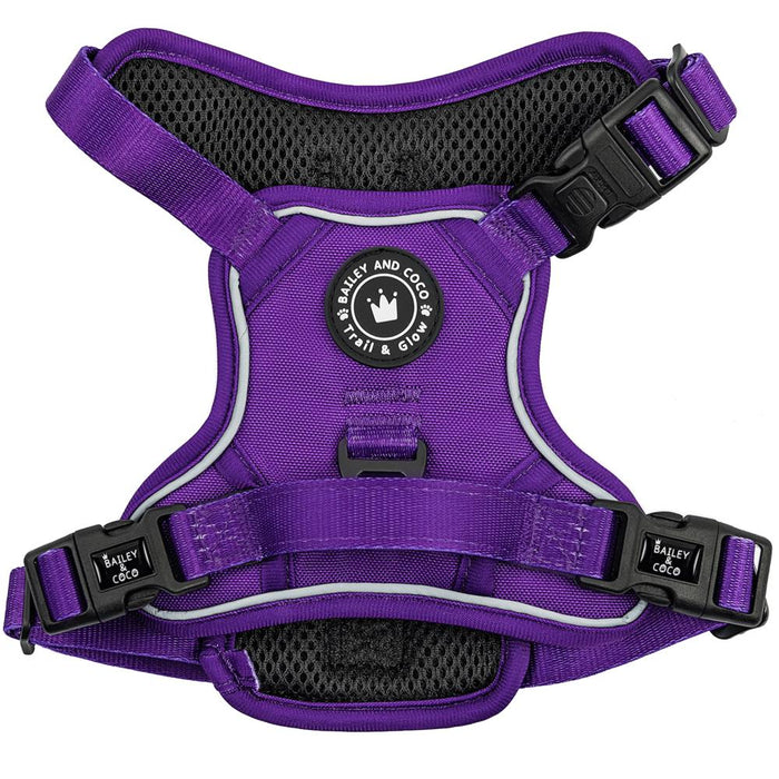 Bailey and Coco Trail & Glow Royal Purple Harness, Lead and Collar Size Small