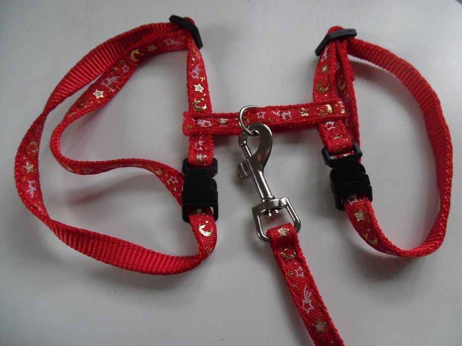 pawchie cat harness with leash and collar