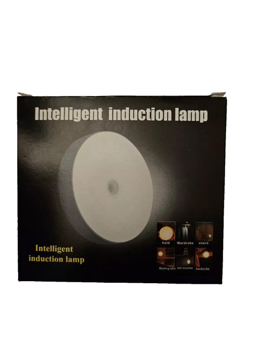 LED Intelligent Human Induction Night Lamp USB Charging Emergency Automatic