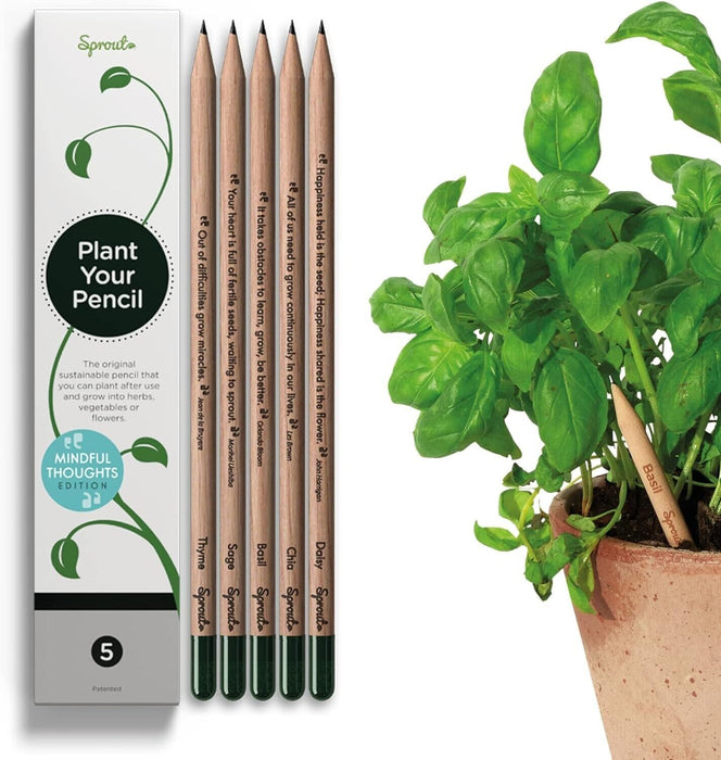 5 Sprout Pencils Plant Your Pencil