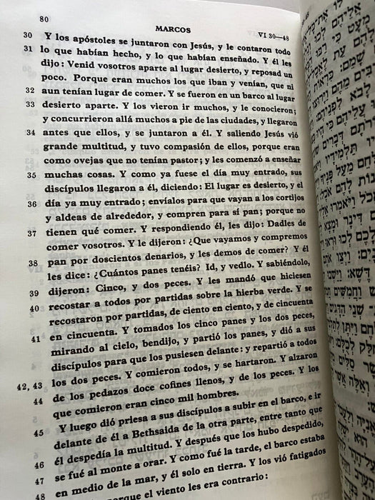 Hebrew-Espanol - The New Testament   (Hardback)